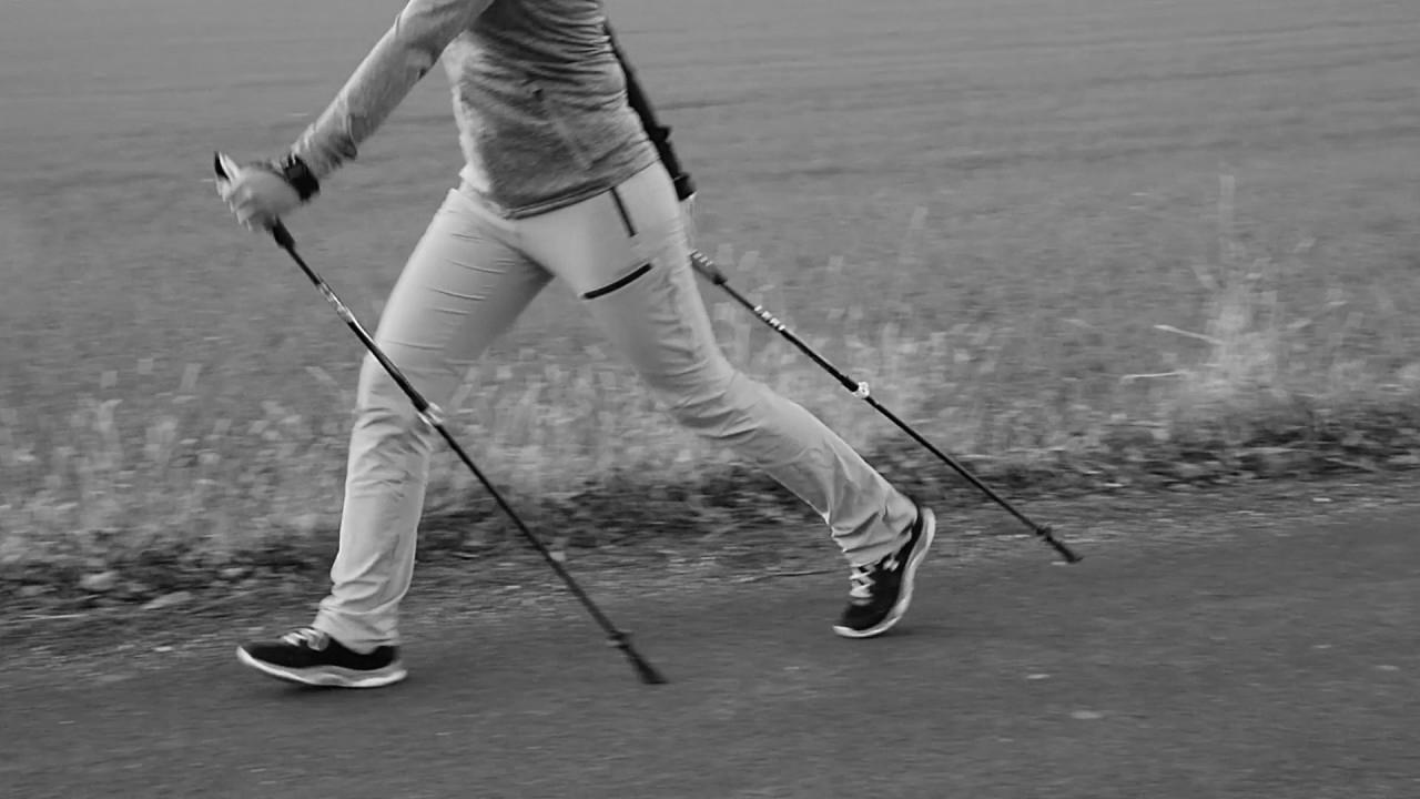 Nordic Strolling – The fitting technique