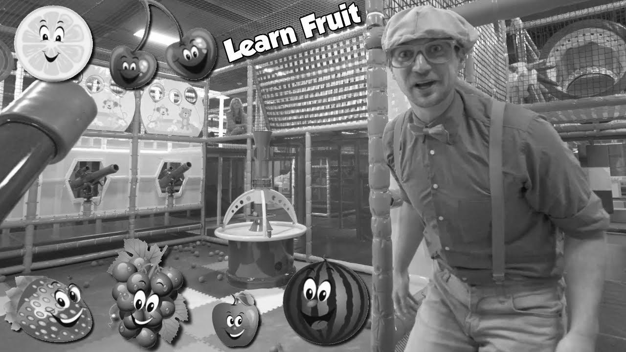 Study Fruits with Blippi |  Educational Indoor Playground Movies for Kids