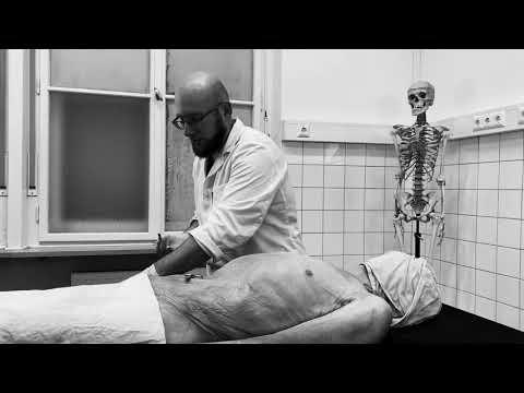Anatomical preparation – {basics|fundamentals} {technique|method|approach}
